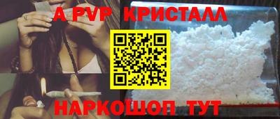сатива Гатчина
