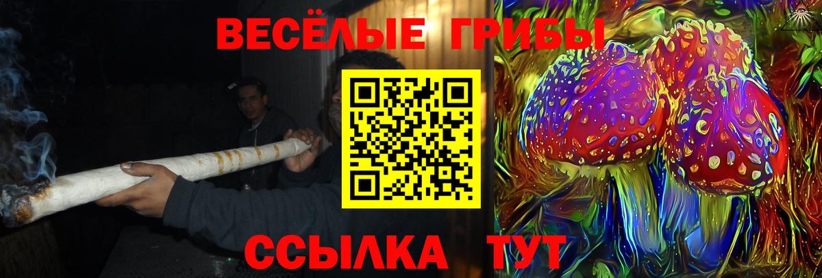 Грязи  Псилоцибиновые грибы ЛСД  Вход с VPN 